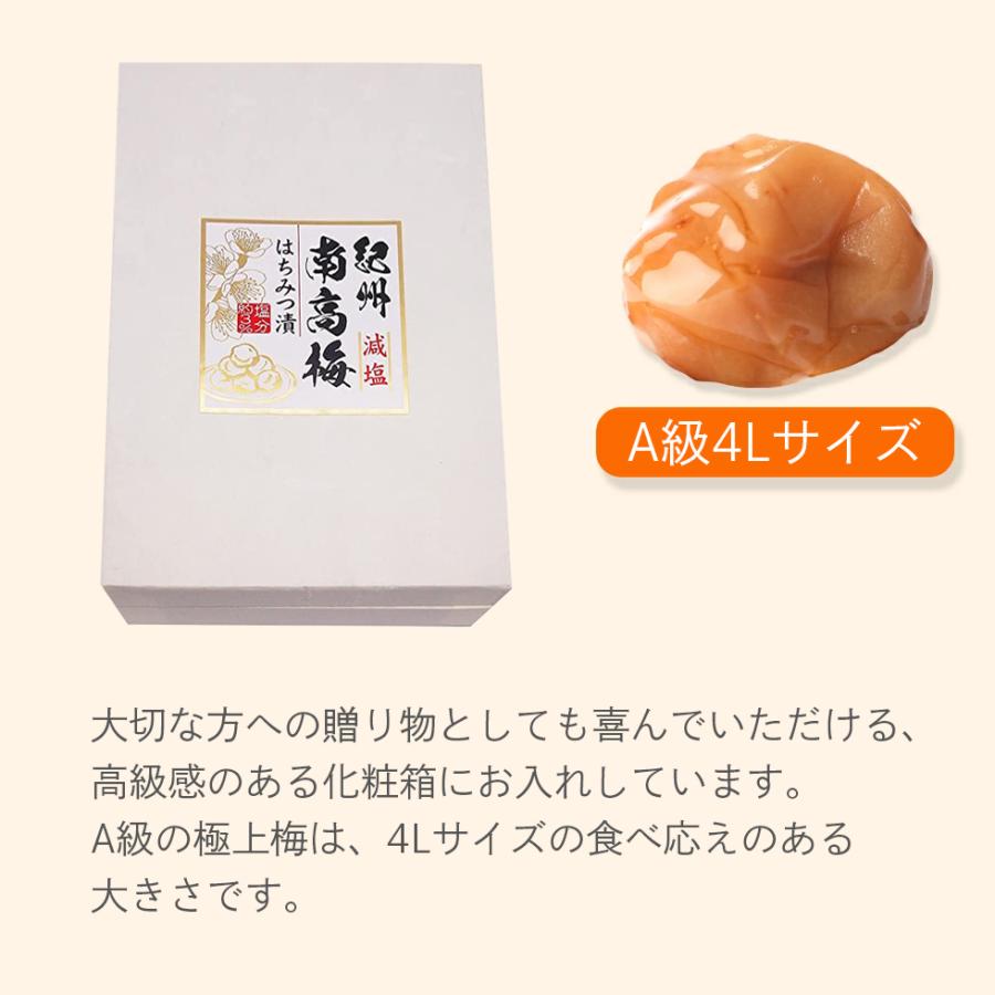 梅干し バレンタインデー 2026 個包装 12粒 塩分3% 高級 はちみつ梅 大粒 紀州南高梅 減塩 高級 爆買 |  | 05