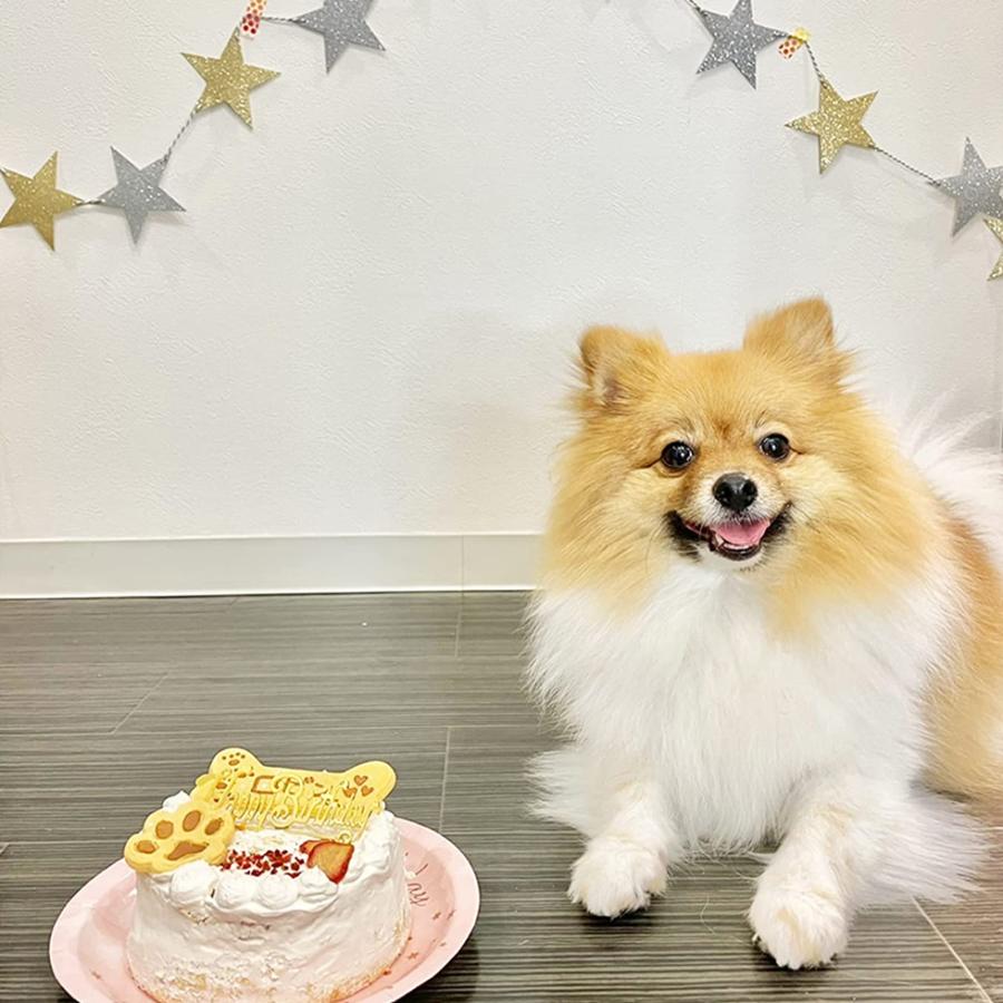 犬用 誕生日ケーキ 名入れ可 4号 グルテンフリー チーズ味 犬のおやつ 爆買 |  | 05