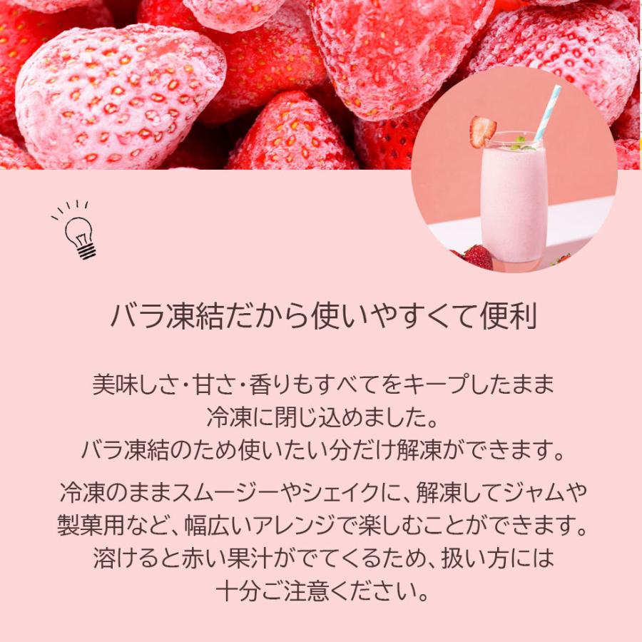 アウトレット 冷凍苺 完熟 栃木県産 かき氷 冷凍いちご いちご 添加物