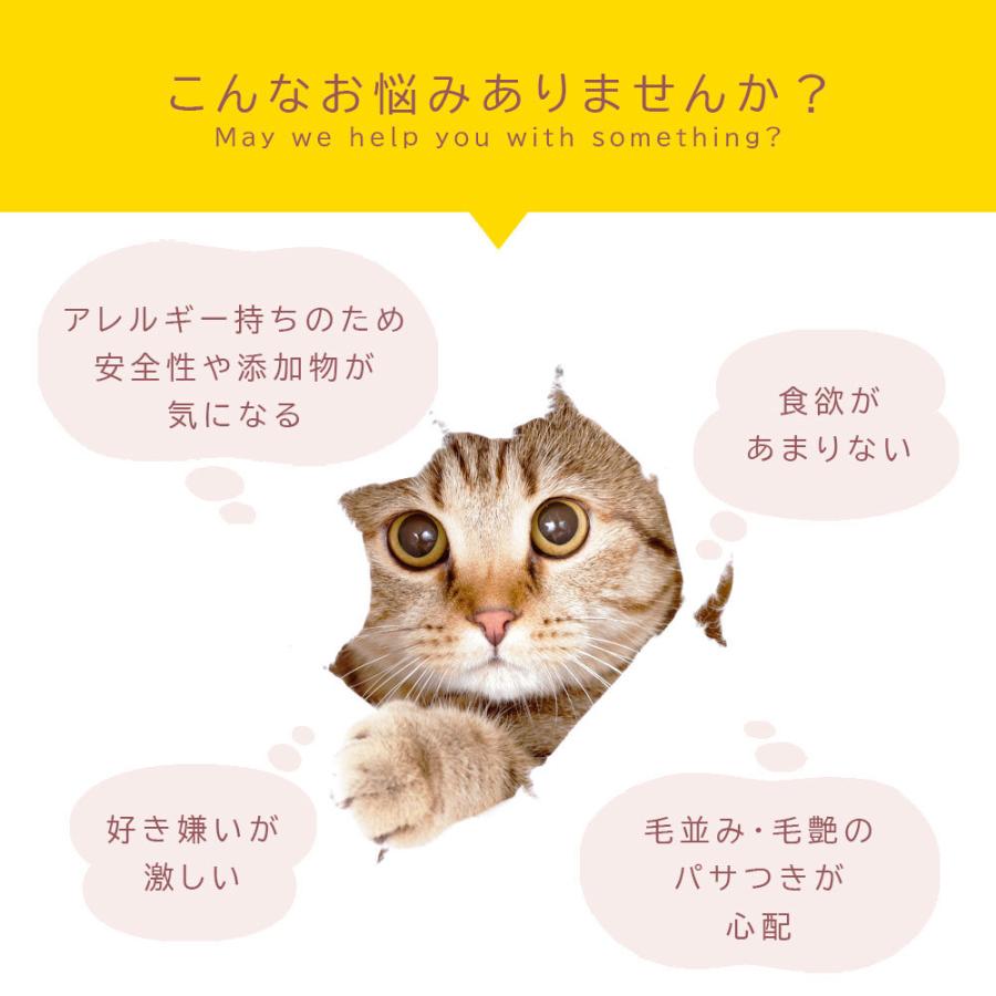 ふりかけ 北海道産 鮭 獣医師監修 猫用 鮭節 華ふぶき 30g 無添加 鮭節 国産 食欲不振 爆買 |  | 05