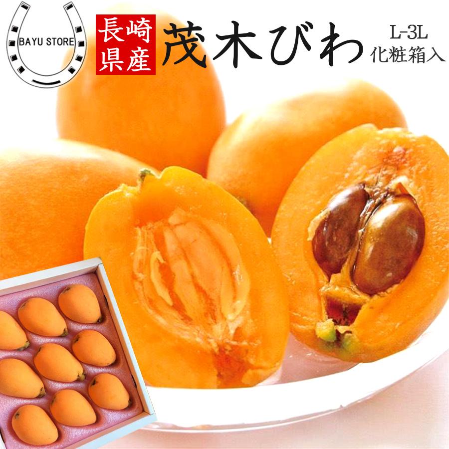 びわ 茂木びわ 長崎県産 高級 大玉 秀品 L 3lサイズ 8 12粒 上品な香りと瑞々しい果肉 枇杷 ビワ フルーツ 果物 ギフト 贈り物 プレゼント 贈答用 お中元 Bayu Store 通販 Yahoo ショッピング
