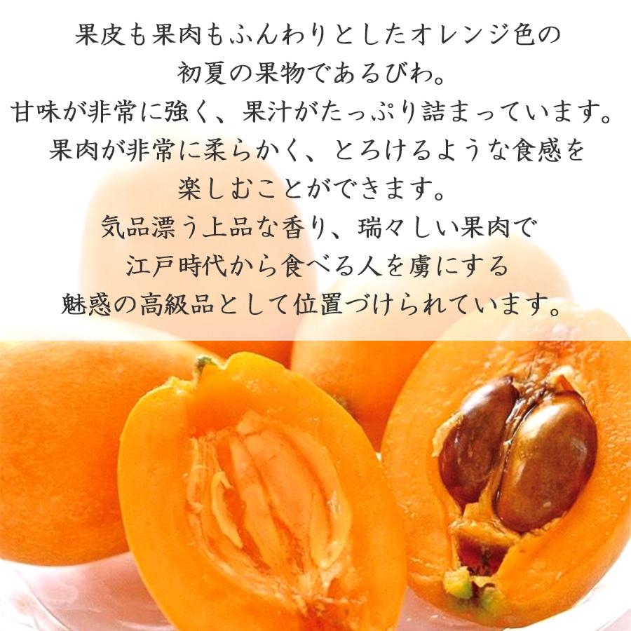 びわ 茂木びわ 長崎県産 高級 大玉 秀品 L 3lサイズ 8 12粒 上品な香りと瑞々しい果肉 枇杷 ビワ フルーツ 果物 ギフト 贈り物 プレゼント 贈答用 お中元 Bayu Store 通販 Yahoo ショッピング