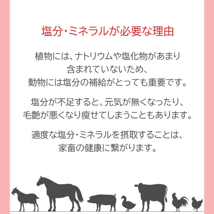 アニマルソルト ヒマラヤ岩塩 ピンクソルト 2kg-4kg 家畜用 塩分補給 紐 ロープ付き 塩 ヤギ 牛 爆買 |  | 02
