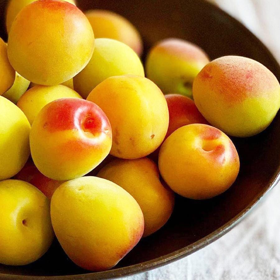 梅 紅南高梅 和歌山県産 約1kg 梅干し用 梅酒用 L 3lサイズ サイズお任せ 実 梅の実 南高梅 生梅 紀州南高梅 希少 梅ジャム用 新発売