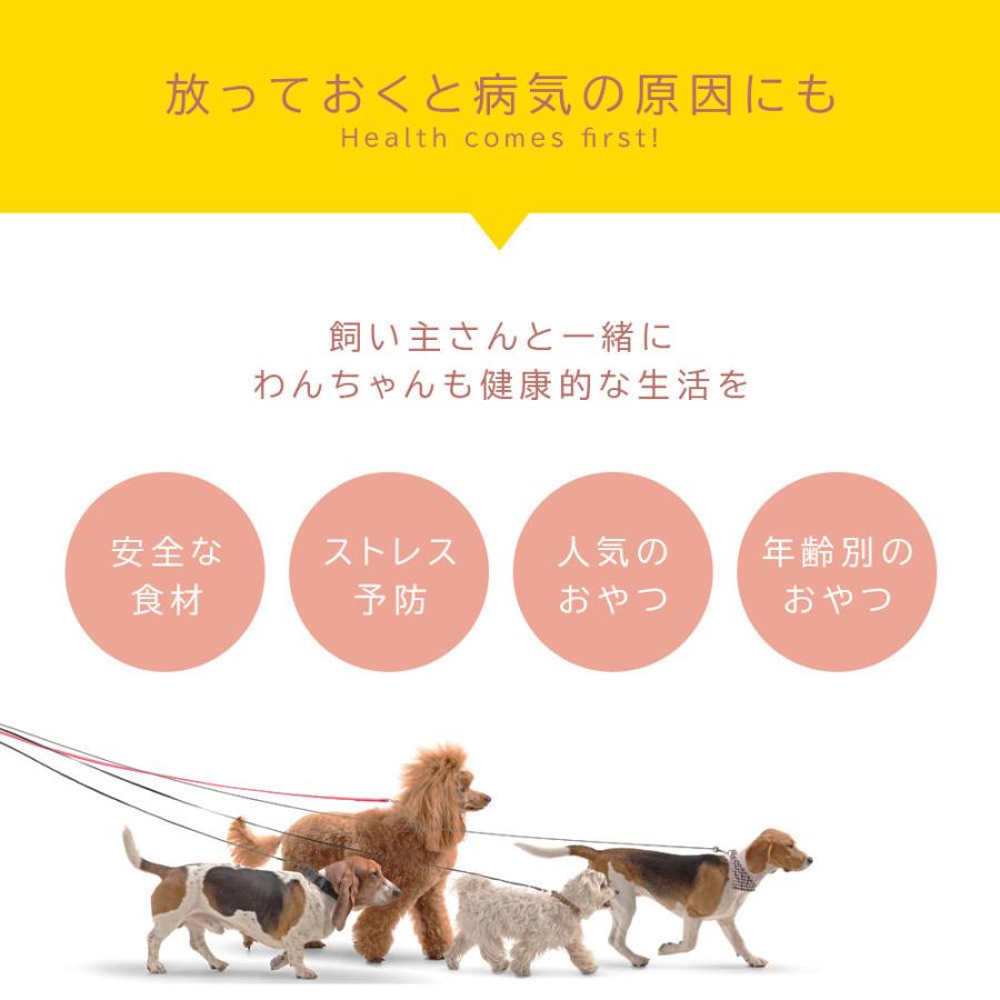 ふりかけ 鹿肉 無添加 ジビエ 獣医師監修 40g×2袋 犬用ふりかけ ダイエット中 食欲不振の愛犬に 低カロリー 高タンパク 鹿肉 ペット 犬用 おやつ 国産 爆買 |  | 06