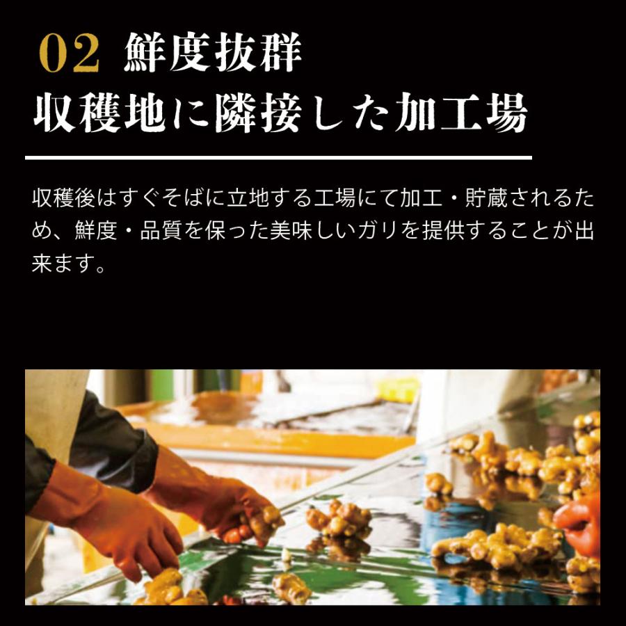 ガリ 国産 大容量 高知県産 寿司ガリ 1kg 生姜 漬物 寿司  業務用 |  | 03