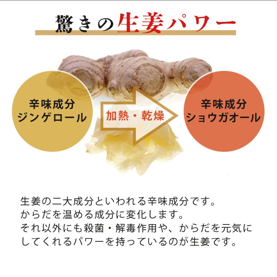 ガリ 国産 大容量 高知県産 寿司ガリ 1kg 生姜 漬物 寿司  業務用 |  | 04