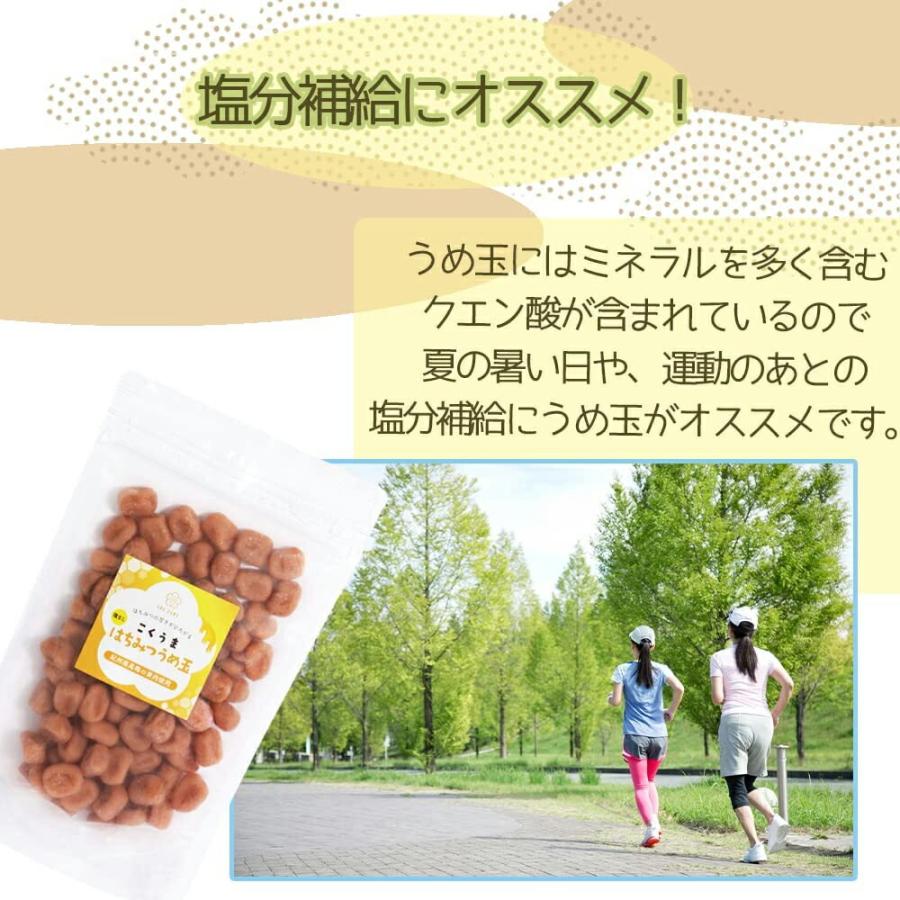うめ玉 400g (200g×2袋) 国産 紀州南高梅 種なし はちみつ味 熱中症予防 塩分補給 梅玉 お菓子 爆買 |  | 04