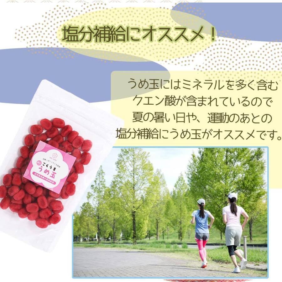 紀州南高梅 うめ玉 しそ梅 200g 国産 紀州南高梅 果肉使用 種なし 梅菓子 しそ 熱中症予防 塩分補給 お菓子 梅菓子 菓子 梅 爆買 |  | 04