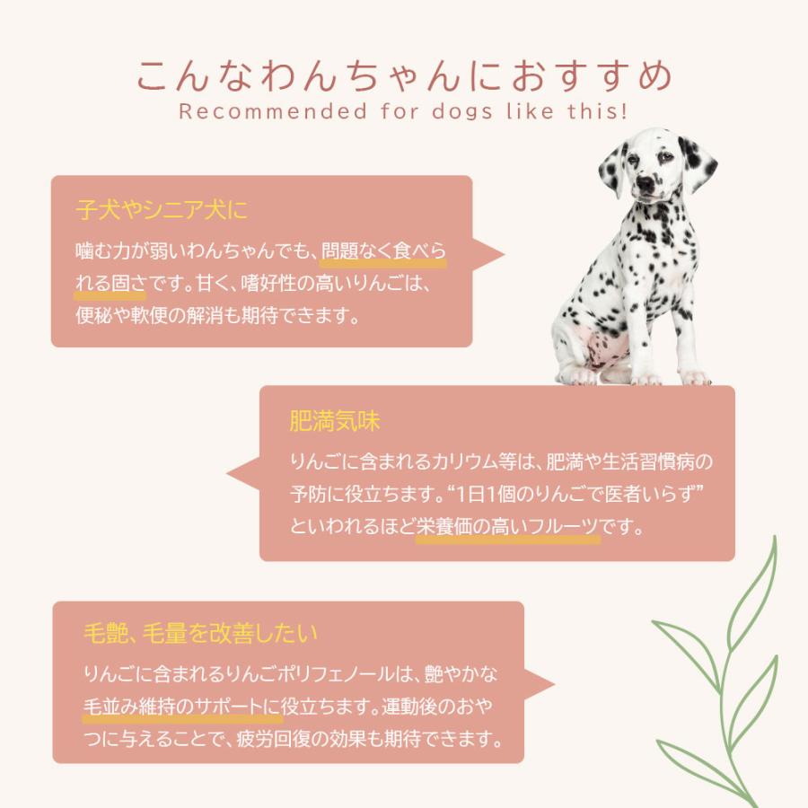 国産 乾燥 りんご 60g【アニマルシェ公式】獣医師監修 青森県産 犬用 おやつ【ヒューマングレードの乾燥りんご 】無添加 無着色 防腐剤不使用 犬用 爆買 |  | 04