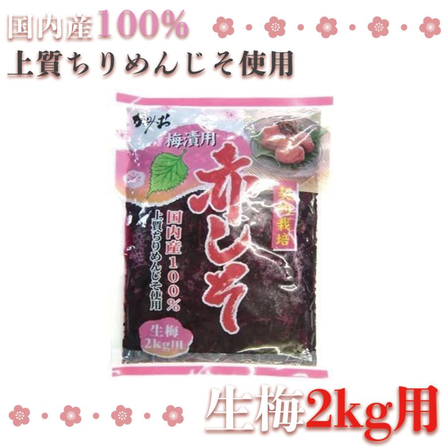赤シソ 国産 生梅 2kg用 500g 上質 ちりめんじそ 大容量 花粉症 梅干し作り アレルギー 紫蘇 神尾食品工業 ネコポス |  | 01