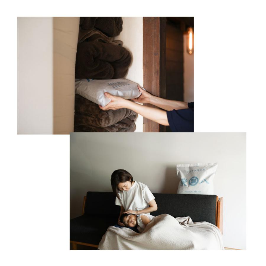 炭八 出雲カーボン 12L 大きめ 大容量 除湿剤 スマート 対策 結露防止 乾燥材 調湿材 |  | 07