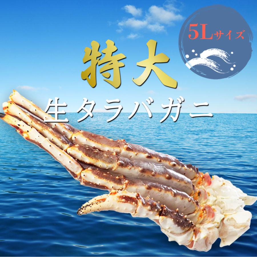 タラバガニ バレンタインデー 2026 訳あり 5L 1kg 特大 生 カニ 蟹鍋 寿司 鍋 焼きがに BBQ 爆買 |  | 01