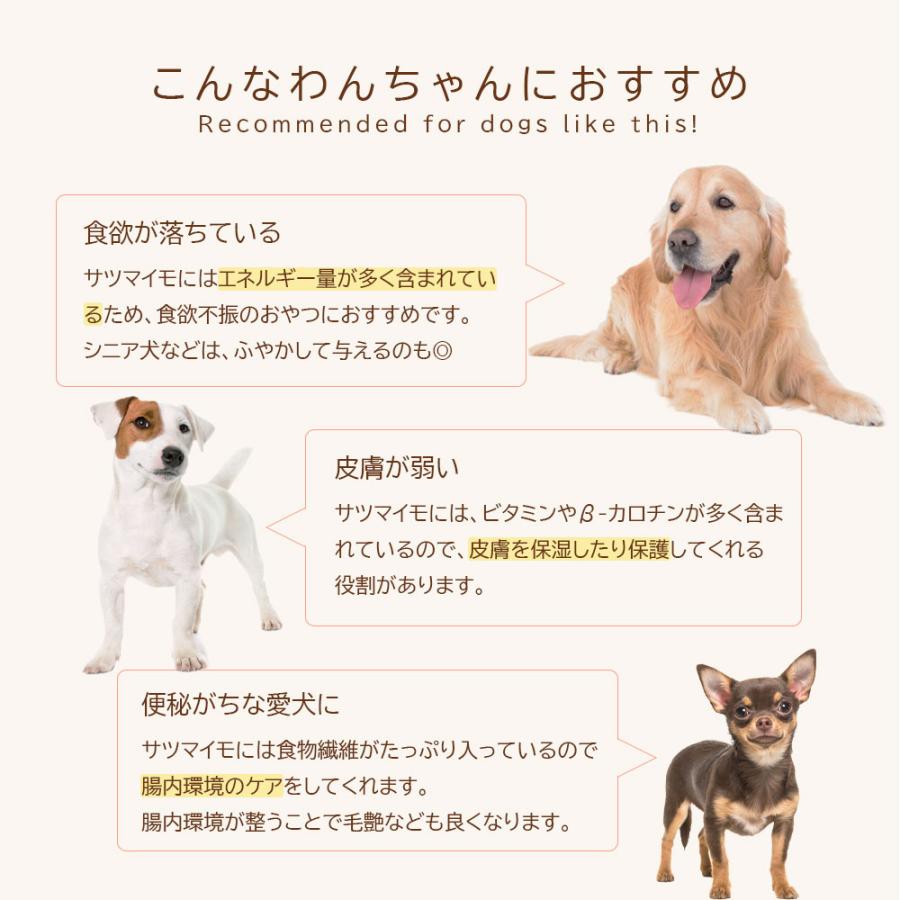 細きりさつまいも 150g アニマルシェ公式 獣医師監修 国産 無添加 無着色 犬用おやつ ペット用 犬用 犬 おやつ さつまいも 薩摩芋 柔らかめ 犬餌 小型犬 大型犬 |  | 04