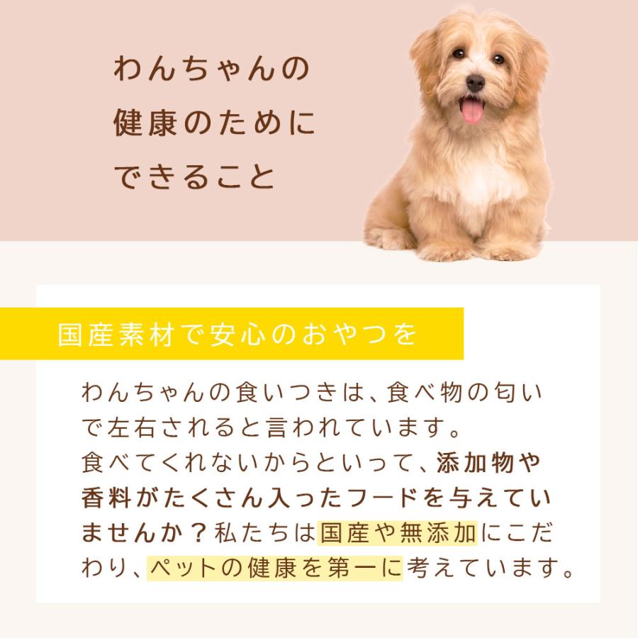 細きりさつまいも 150g アニマルシェ公式 獣医師監修 国産 無添加 無着色 犬用おやつ ペット用 犬用 犬 おやつ さつまいも 薩摩芋 柔らかめ 犬餌 小型犬 大型犬 |  | 08