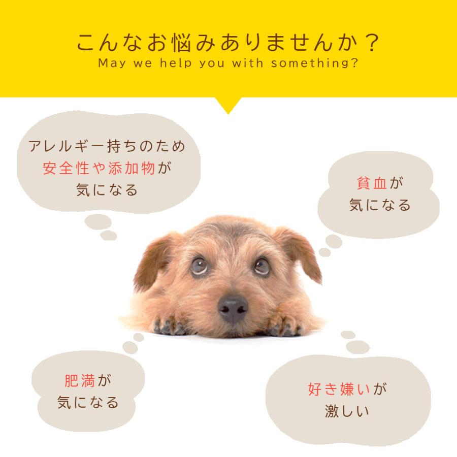 マグロスライス ジャーキー 120g 国産 無添加 犬用おやつ ペット用 鮪 魚 ジャーキー 犬餌 ペットフード 爆買 |  | 05