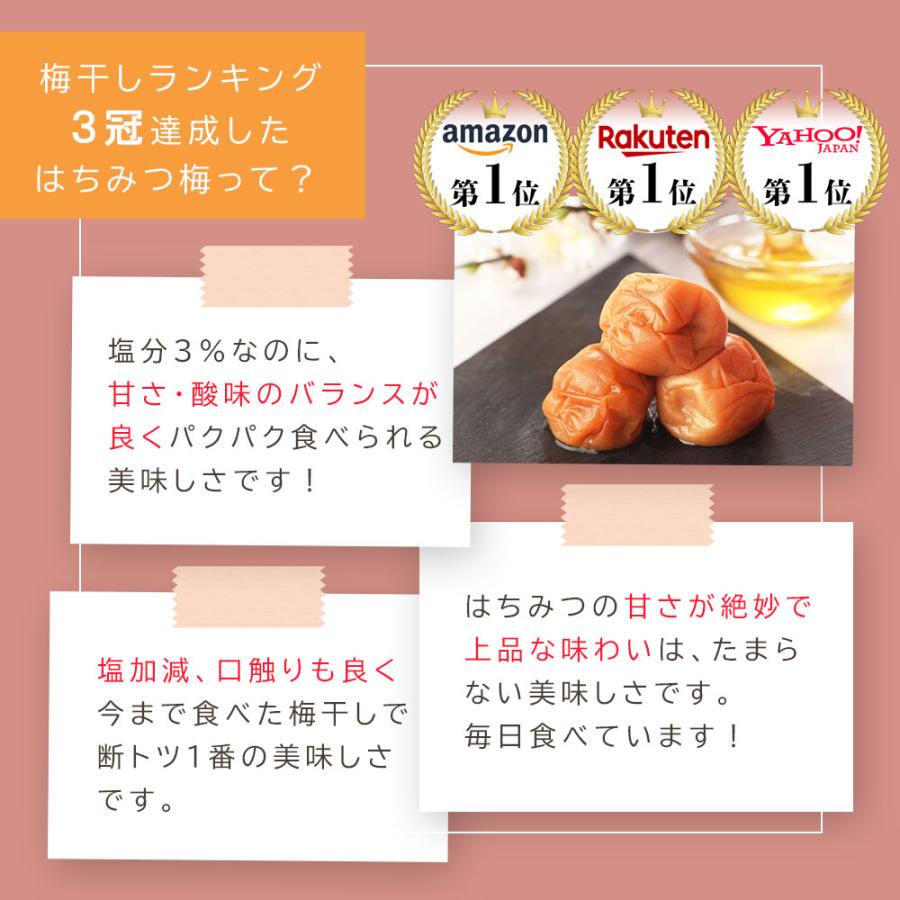 ねり梅 はちみつ 塩分3％ チューブ 200g 梅肉 梅干し 南高梅 低塩 減塩 おにぎりの具 おかゆ 介護 お弁当 ネコポス |  | 03