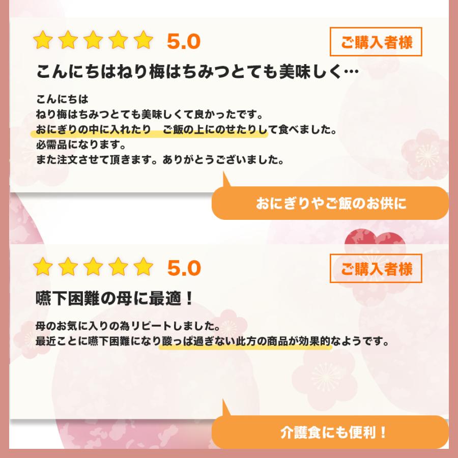 ねり梅 はちみつ 塩分3％ チューブ 200g 梅肉 梅干し 南高梅 低塩 減塩 おにぎりの具 おかゆ 介護 お弁当 ネコポス |  | 08