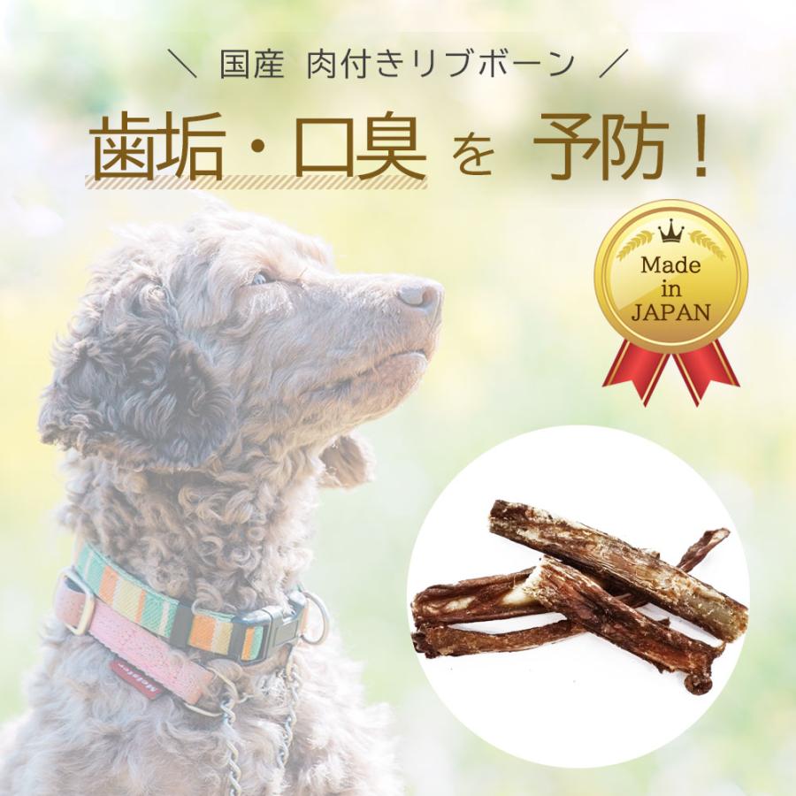 鹿肉 リブボーン 40g (20g×2袋) アニマルシェ公式 ジビエ 犬用おやつ リブボーン 鹿骨 骨 ボーン 小型犬 中型犬 犬おやつ 犬骨 犬用 おやつ 長持ちおやつ 爆買 |  | 01