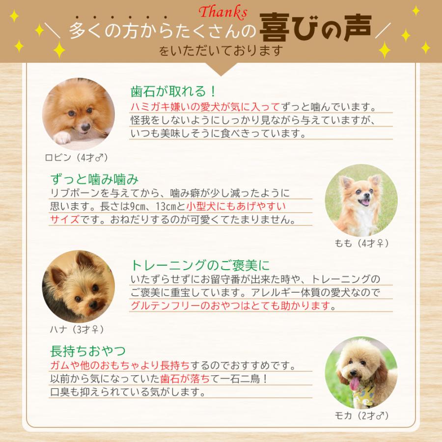 鹿肉 リブボーン 40g (20g×2袋) アニマルシェ公式 ジビエ 犬用おやつ リブボーン 鹿骨 骨 ボーン 小型犬 中型犬 犬おやつ 犬骨 犬用 おやつ 長持ちおやつ 爆買 |  | 06