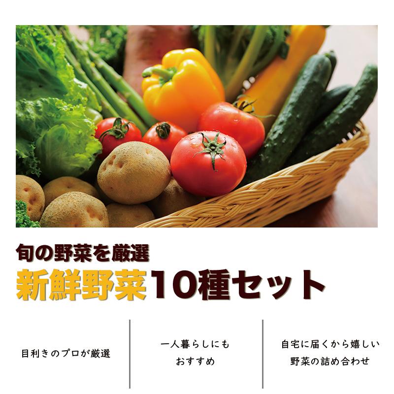 お任せ 野菜セット 約10種 お取り寄せ 詰め合わせ 常備菜 お任せ 野菜セット 約10種 お取り寄せ 詰め合わせ 常備菜