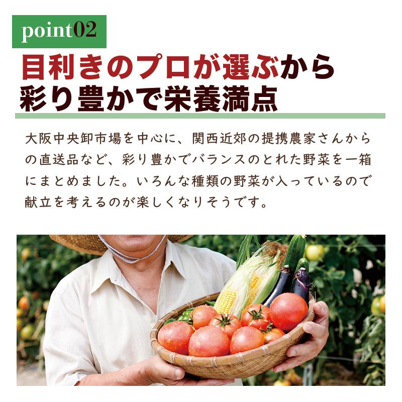 お任せ 野菜セット 約10種 お取り寄せ 詰め合わせ 常備菜 お任せ 野菜セット 約10種 お取り寄せ 詰め合わせ 常備菜