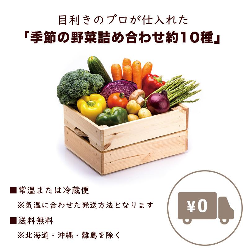 お任せ 野菜セット 約10種 お取り寄せ 詰め合わせ 常備菜 お任せ 野菜セット 約10種 お取り寄せ 詰め合わせ 常備菜