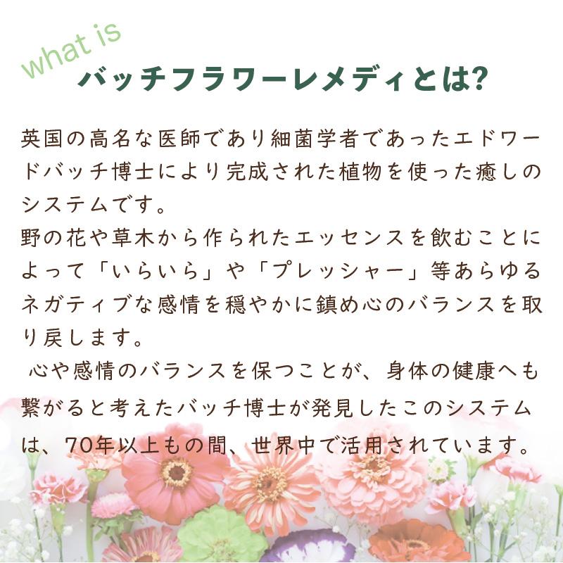 バッチフラワー レメディ レスキュー 10ml  フラワーエッセンス リラックス  送料無料 ネコポス 爆買 |  | 02