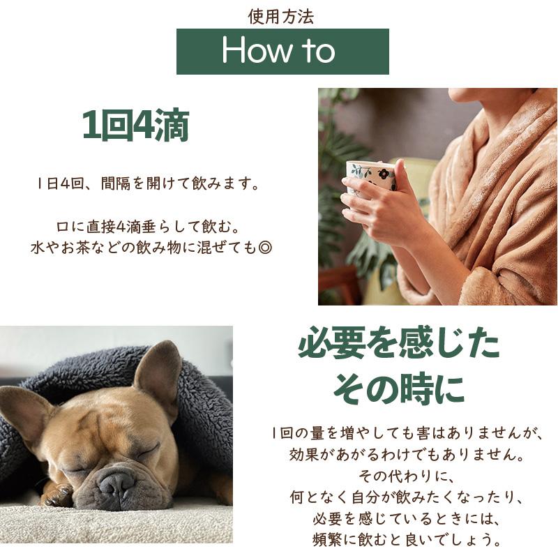 バッチフラワー レメディ レスキュー 10ml  フラワーエッセンス リラックス  送料無料 ネコポス 爆買 |  | 05