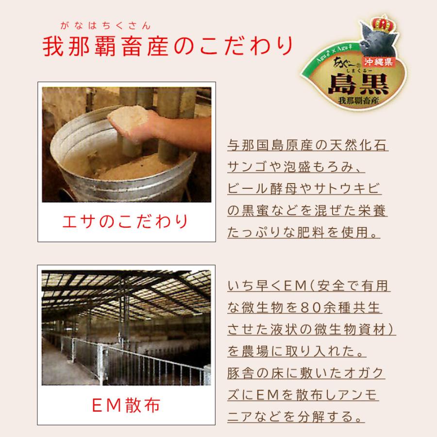 アグー豚 沖縄県産 2種 食べ比べ 1kg ロース バラ 各500g やんばるあぐー 豚しゃぶ 鍋セット 肉 豚 鍋 あぐー豚 豚肉 肉ギフト お歳暮 沖縄 直送 爆買 |  | 06