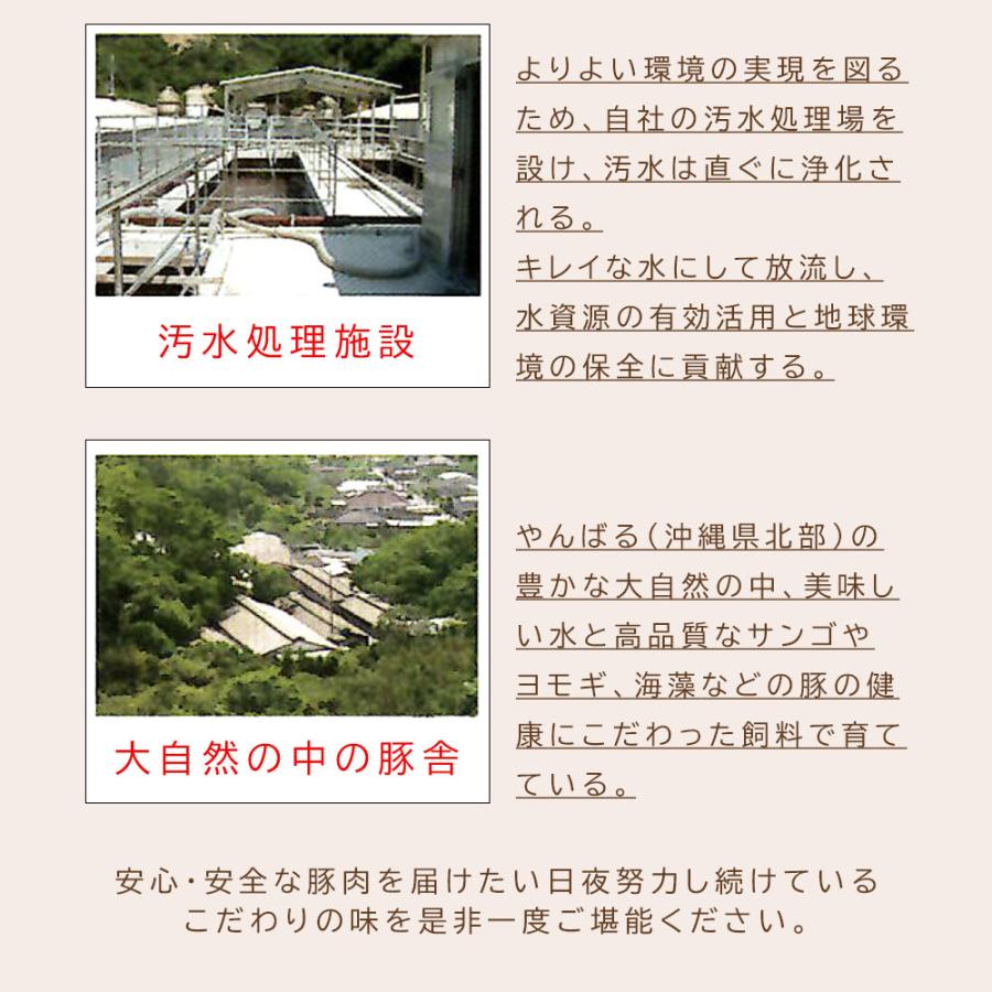 アグー豚 沖縄県産 2種 食べ比べ 1kg ロース バラ 各500g やんばるあぐー 豚しゃぶ 鍋セット 肉 豚 鍋 あぐー豚 豚肉 肉ギフト お歳暮 沖縄 直送 爆買 |  | 07