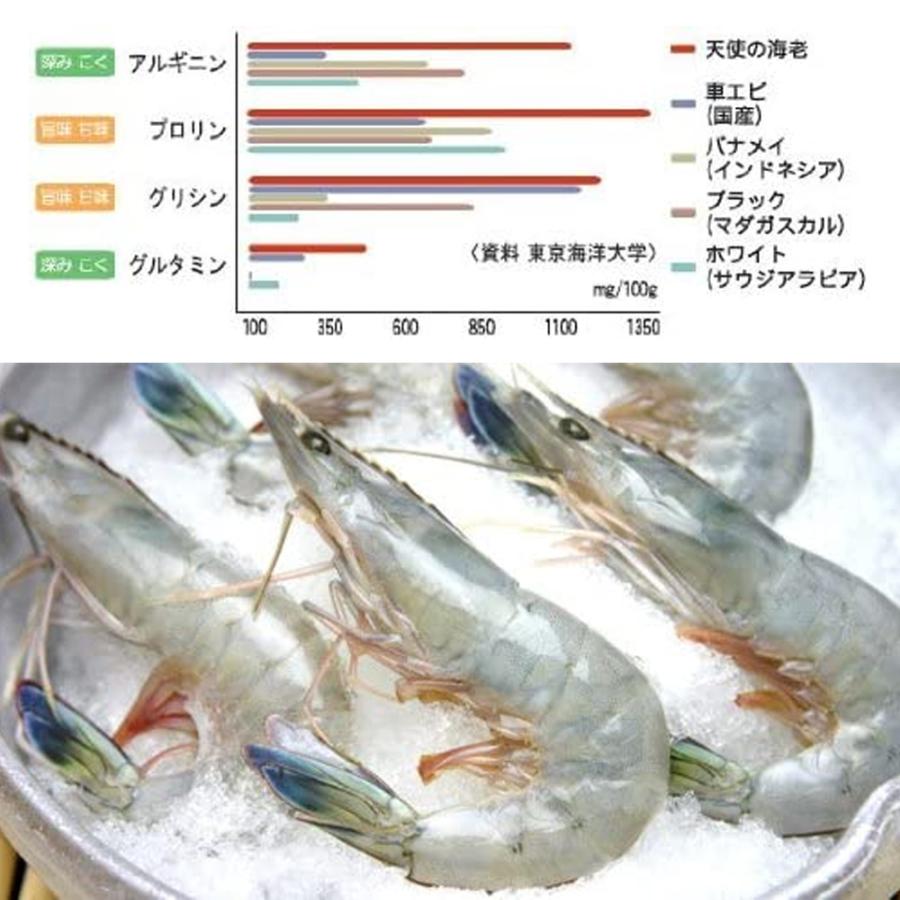 えび 刺身用 1kg 天使の海老 30~40尾 ニューカレドニア産 シーフード 海鮮 生 有頭 刺身 爆買 |  | 01