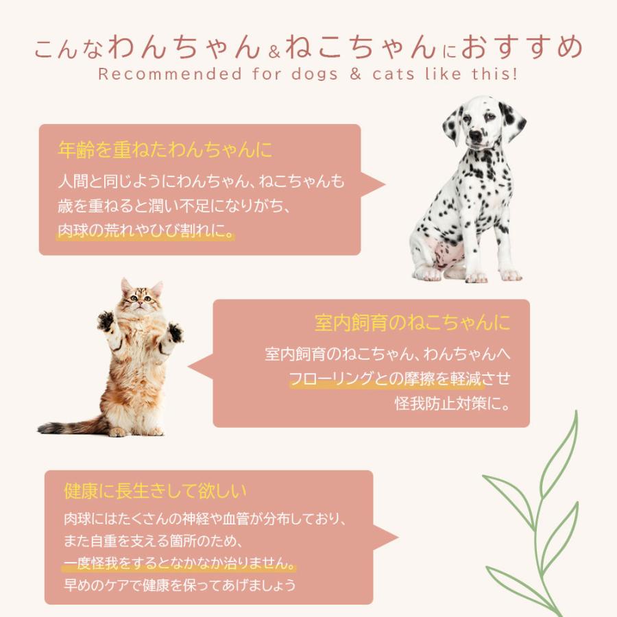 肉球クリーム 12g 100％天然成分 舐めても安心 オーガニック認証取得 アルガンオイル 40%使用 犬 ネコポス 爆買 |  | 02