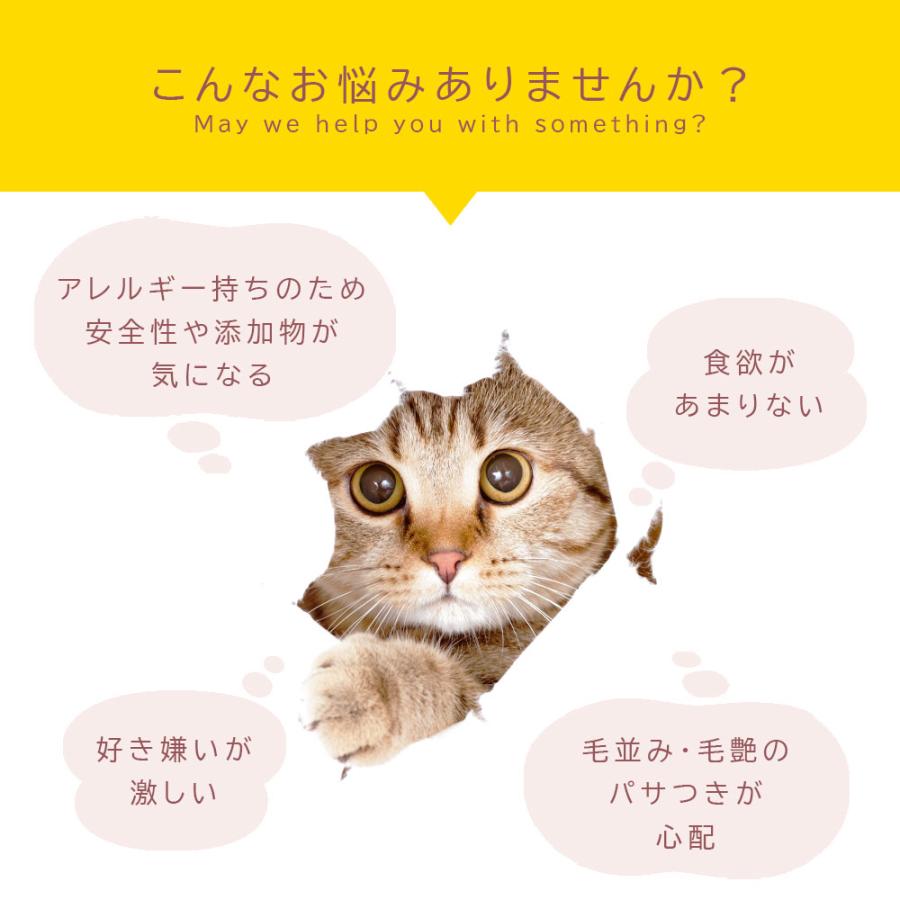 猫用 ふりかけ 国産 鶏ささみ 120g (60g×2袋) 小食 食欲不振 鶏肉 獣医師監修 ふりかけ 無添加 国産 |  | 05