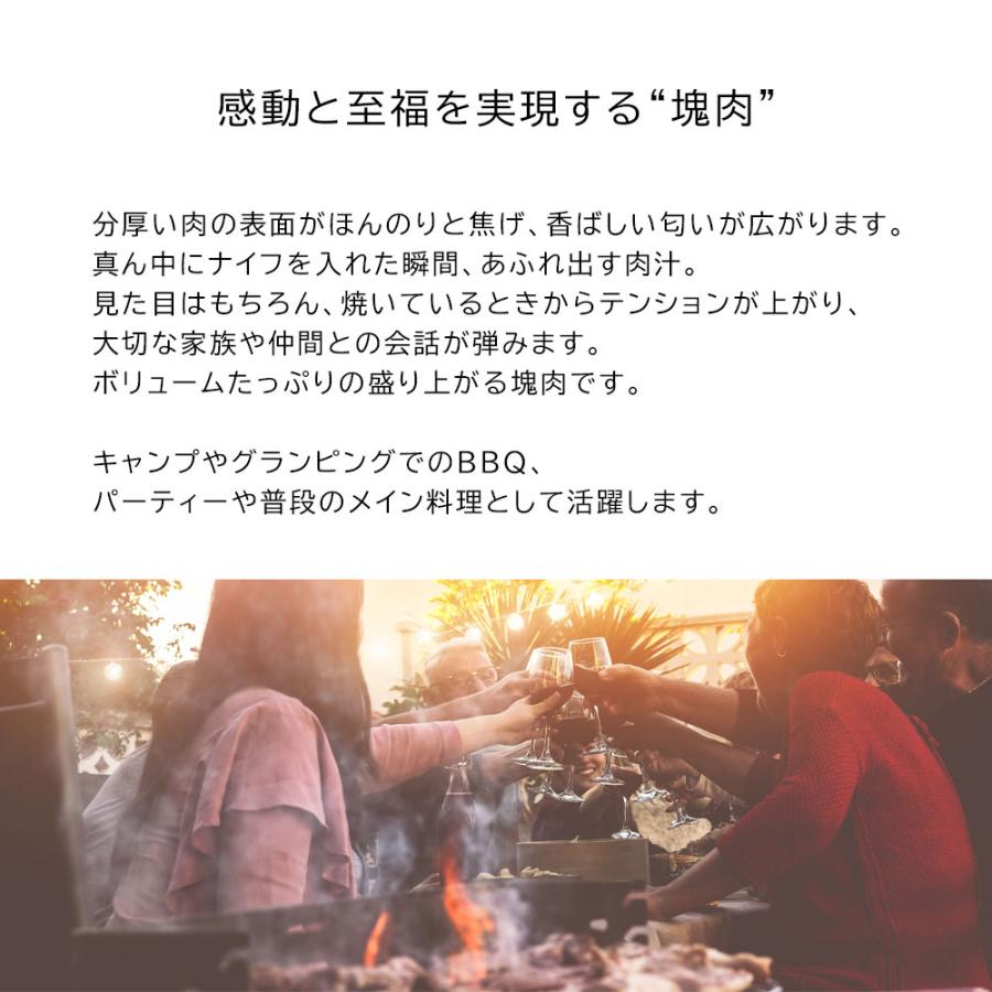 焼肉 バーベキュー 肉 2種 約1kg ワンポンドステーキ & 骨付きスペアリブ 牛肉 豚肉 塊肉 ステーキ スペアリブ 骨付  BBQ |  | 04