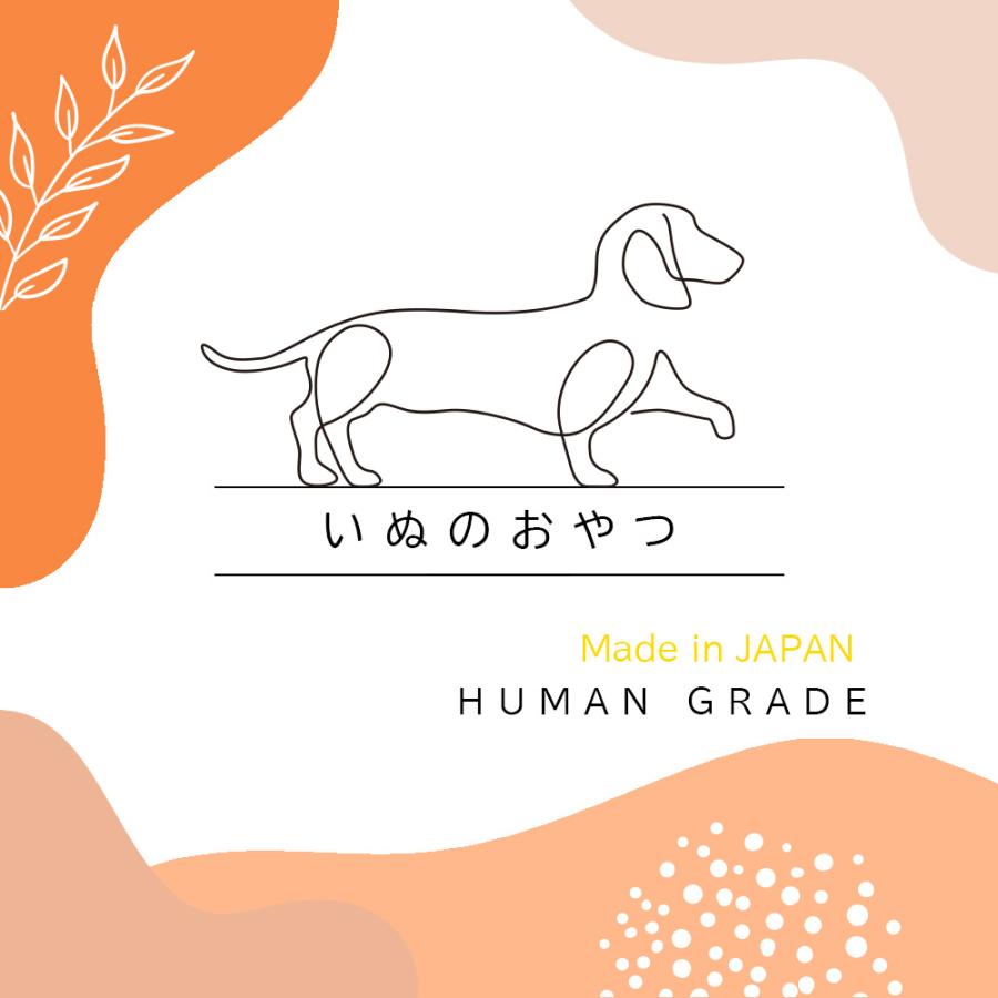 犬用ケーキ グルテンフリー 米粉シフォンケーキ 2個セット 誕生日 おやつ ペット 爆買 |  | 01