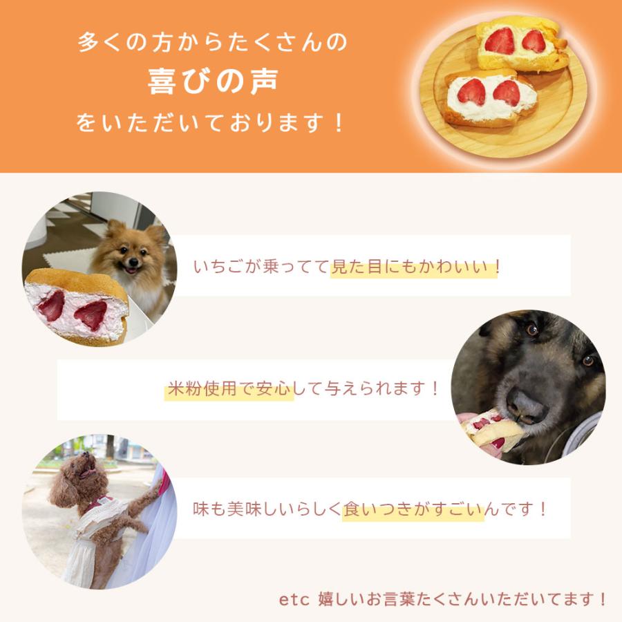 犬用ケーキ グルテンフリー 米粉シフォンケーキ 2個セット 誕生日 おやつ ペット 爆買 |  | 07