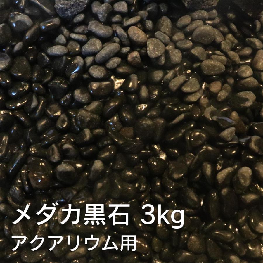 アクアリウム用 メダカ 黒石 3kg 水槽用 砂利 アクアリウム レイアウト 石 金魚 ベタ ビオトープ 飾り石　DIY 水槽 石 爆買 |  | 01