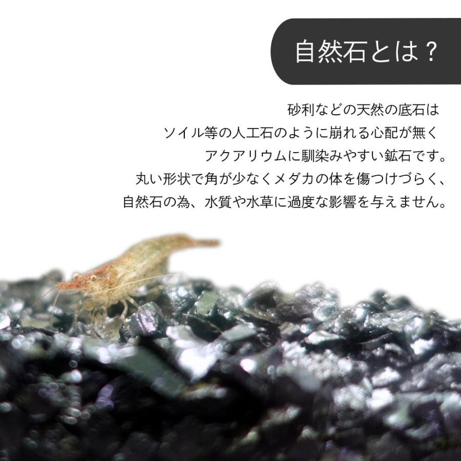 アクアリウム用 メダカ 黒石 3kg 水槽用 砂利 アクアリウム レイアウト 石 金魚 ベタ ビオトープ 飾り石　DIY 水槽 石 爆買 |  | 03