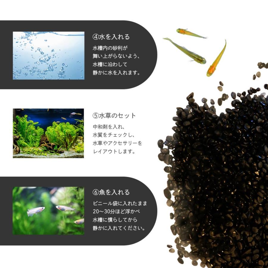 アクアリウム用 メダカ 黒石 3kg 水槽用 砂利 アクアリウム レイアウト 石 金魚 ベタ ビオトープ 飾り石　DIY 水槽 石 爆買 |  | 08