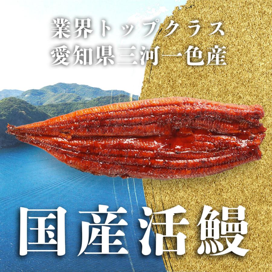 うなぎ 国産 蒲焼き お中元 2026 (160-180g×2尾)  タレ付 備長炭 丑の日 ギフト 海鮮 シーフード 爆買 |  | 01