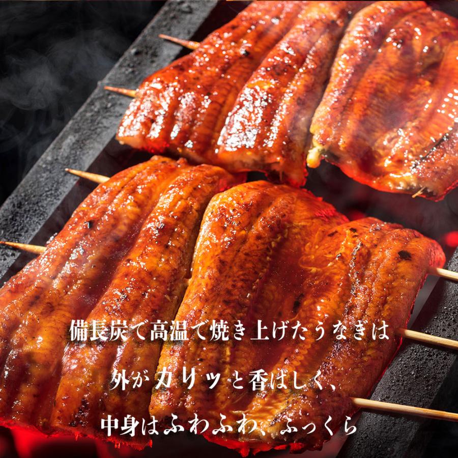 うなぎ 国産 蒲焼き お中元 2026 (160-180g×2尾)  タレ付 備長炭 丑の日 ギフト 海鮮 シーフード 爆買 |  | 03