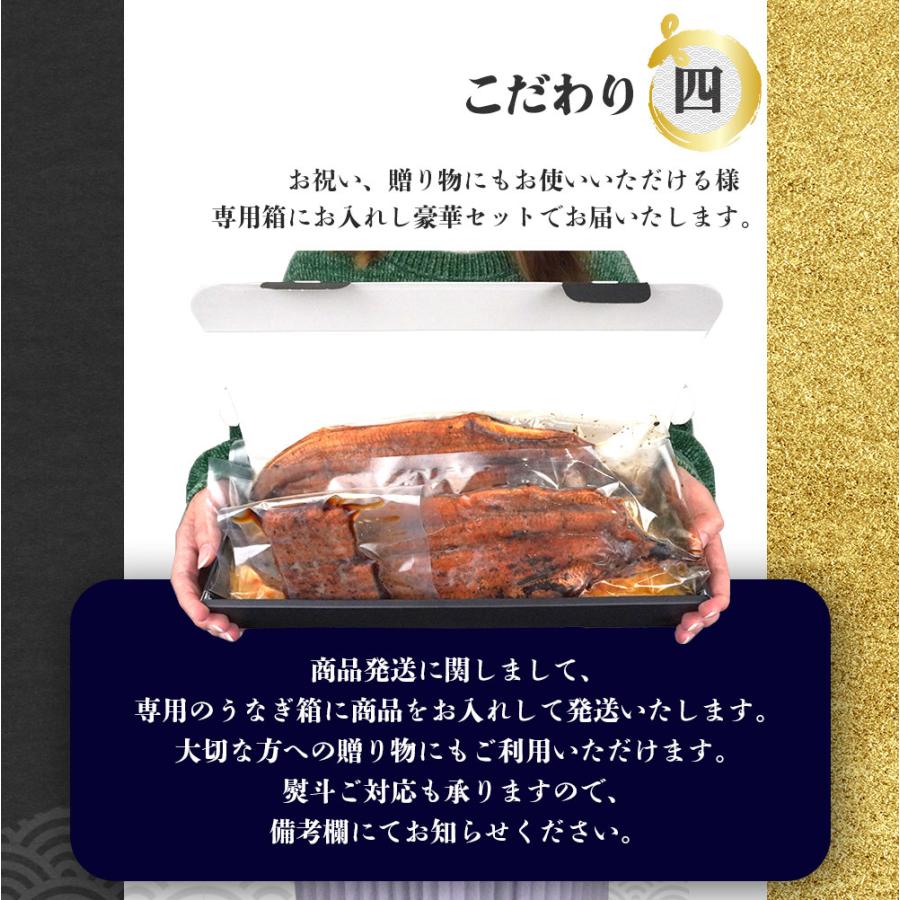 うなぎ 国産 蒲焼き お中元 2026 (160-180g×2尾)  タレ付 備長炭 丑の日 ギフト 海鮮 シーフード 爆買 |  | 08