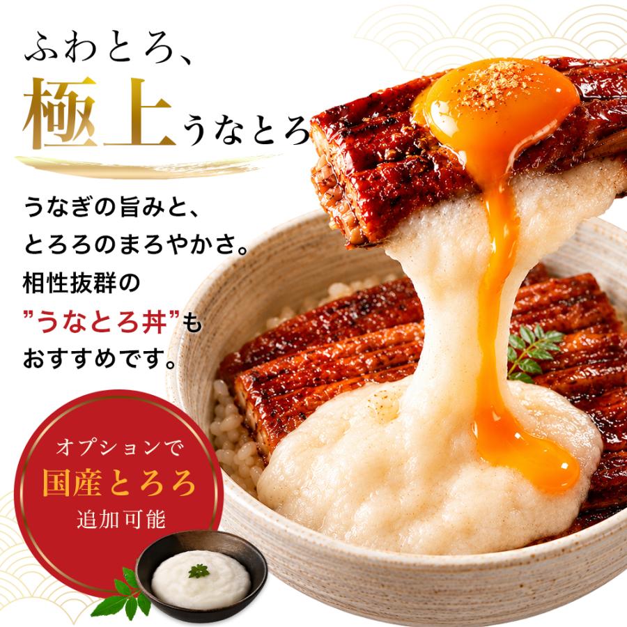 うなぎ 国産 蒲焼き (特大200g×2尾) ギフト タレ付 土用の丑の日 海鮮 シーフード 高級 爆買 |  | 09