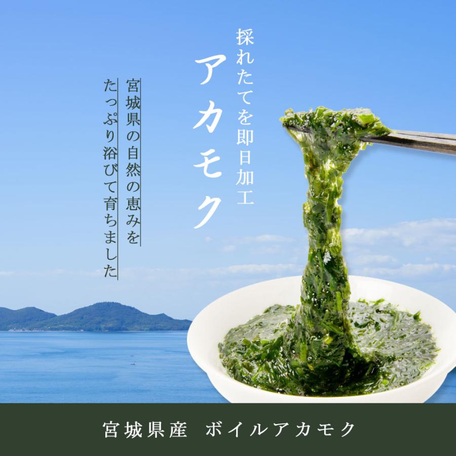 国産 アカモク ボイル 500g チューブタイプ 大容量 ギバサ 採れたて 天然 長藻 海藻 スーパーフード 健康食材 爆買 : BAYU ...