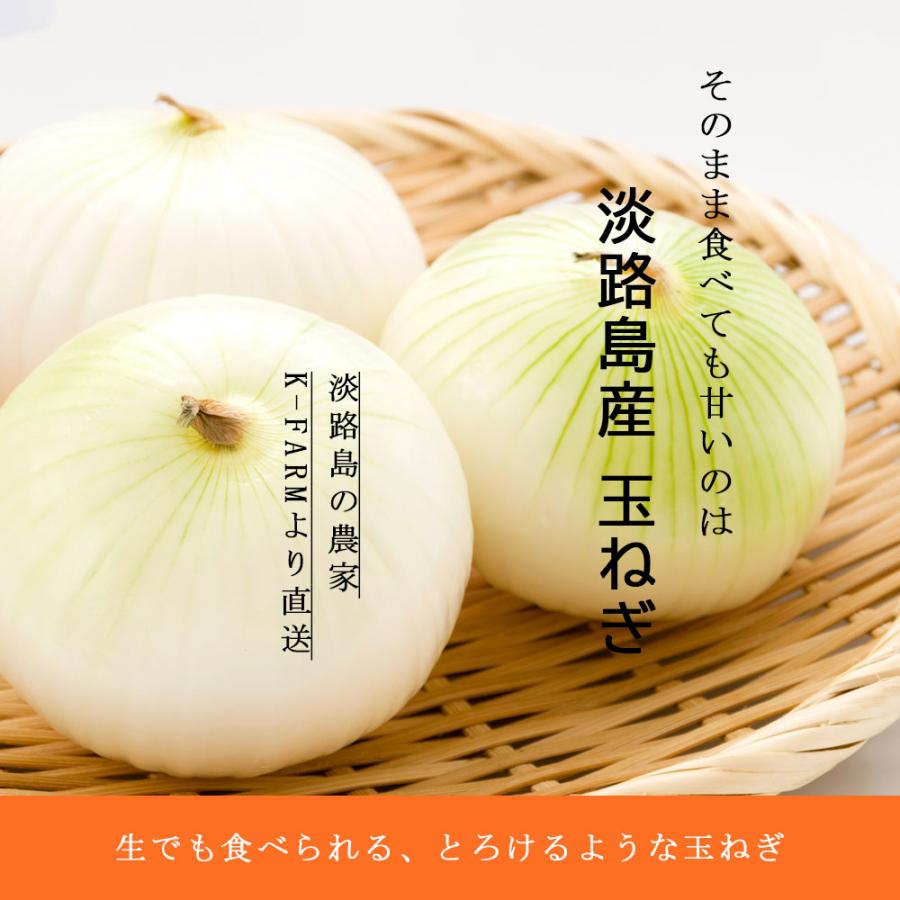 玉ねぎ 淡路島産 産地直送 約5kg M-2Lサイズ 大玉 兵庫県 生鮮食品 野菜 爆買 |  | 02