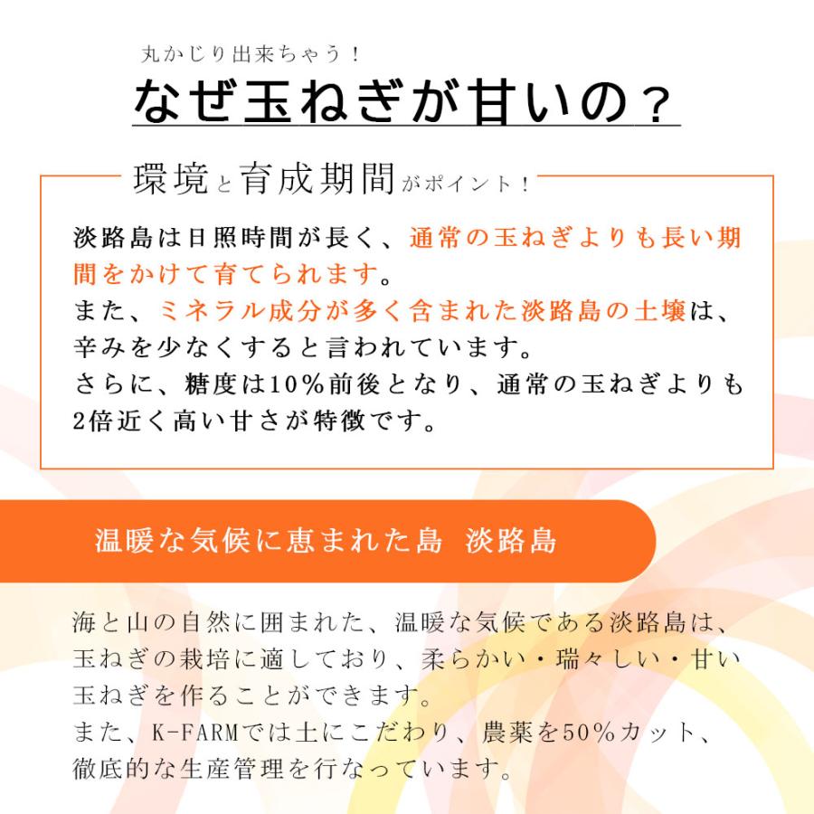 玉ねぎ 淡路島産 産地直送 約5kg M-2Lサイズ 大玉 兵庫県 生鮮食品 野菜 爆買 |  | 03