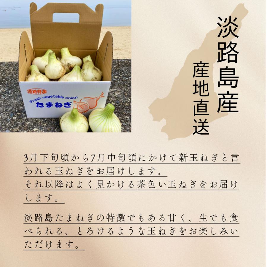 玉ねぎ 淡路島産 産地直送 約5kg M-2Lサイズ 大玉 兵庫県 生鮮食品 野菜 爆買 |  | 06