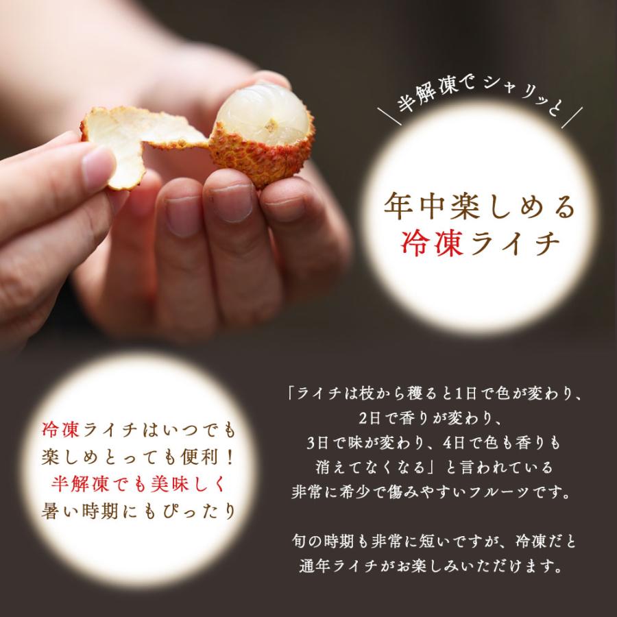 冷凍 ライチ 500g 皮付き 黒葉種 業務用 レイシ フルーツ 果物 爆買 |  | 04