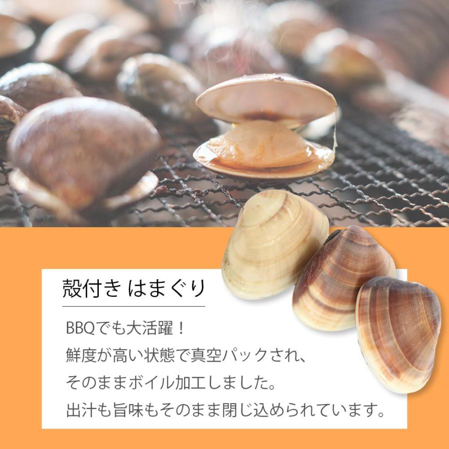殻付き はまぐり Lサイズ 1.5kg (30〜45粒) 赤穂の塩 付き 冷凍食品 真空 BBQ 酒蒸し お食い初め 貝  出汁 ハマグリ お吸いもの 爆買 |  | 01